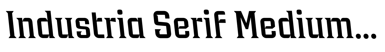 Industria Serif Medium Back